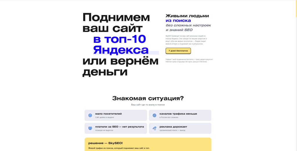 SkySeo скриншот.