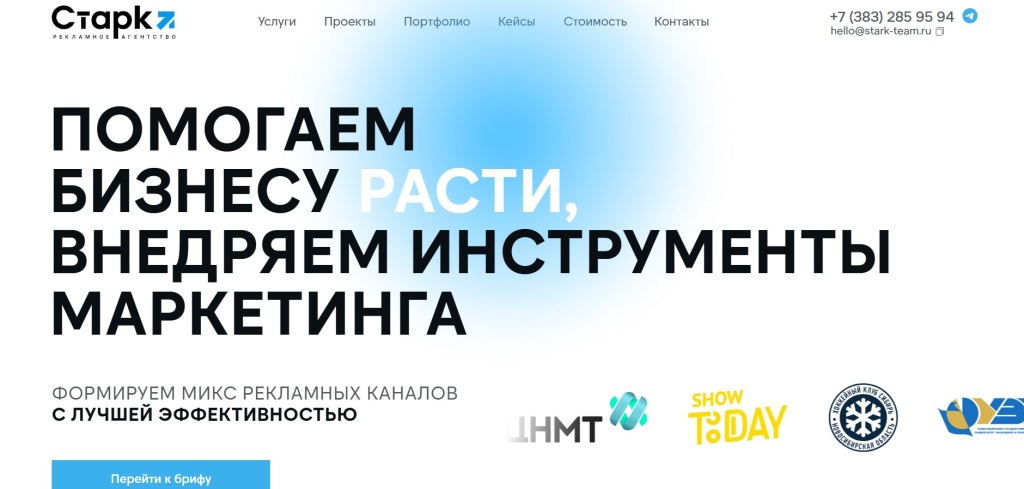 Главная страница агентства Stark Consulting Agency.