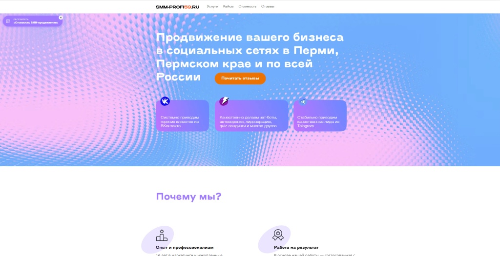 SMM-Profi59 скриншот. 