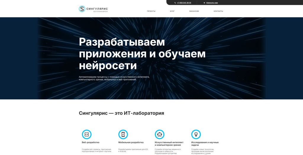 Singularis скриншот.