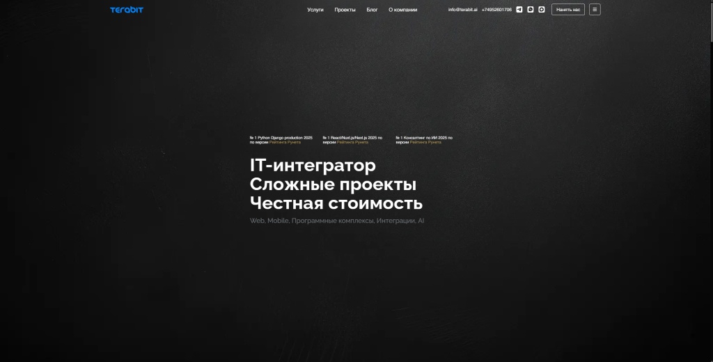 Terabit Digital скриншот.