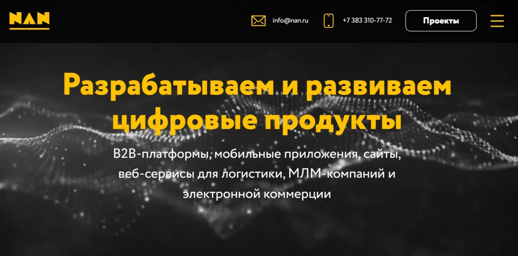 Главная страница NAN.