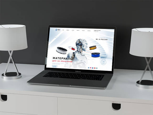 Кейс по раскрутке сайта производителя 3d товаров